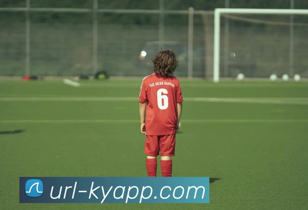 开云体育APP 封面图